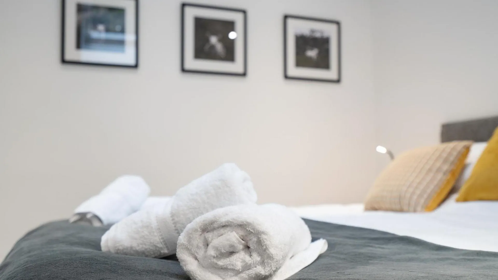 The Botanical Flat 1 Lejlighed Sheffield